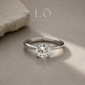 Anillos